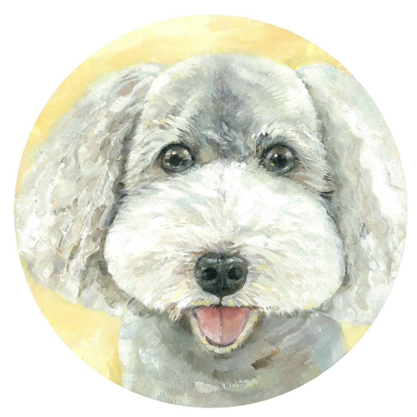 動物の作品