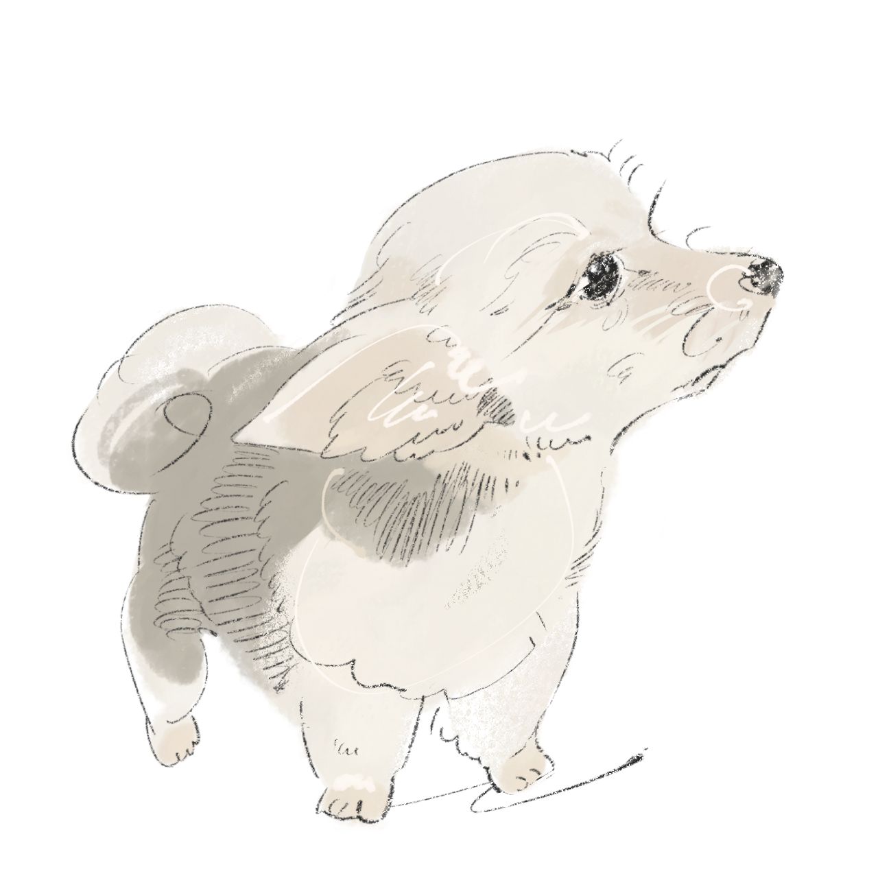yagami kaori の作品（動物・Animal）